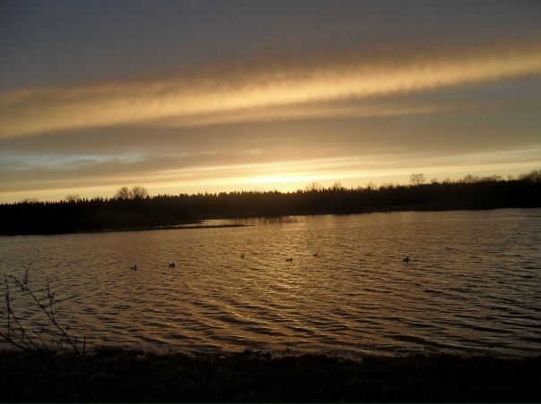 №10, Валерий Маринин №10, Валерий Маринин