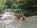 Павло Несен фотография #36