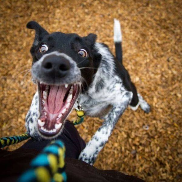 Сергей Зольников | Санкт-Петербург