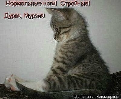 №110, Юлия Добрыдник, 34 года, Днепр (Днепропетровск) №110, Юлия Добрыдник, 34 года, Днепр (Днепропетровск)