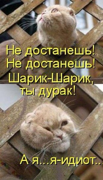 Елена Зубцова | Санкт-Петербург