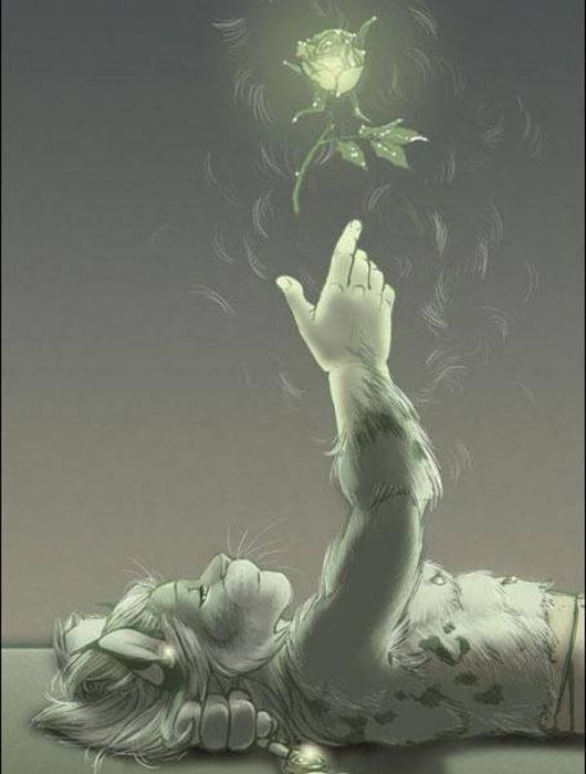 Alex Fur Rainbow_Tiger | Киев