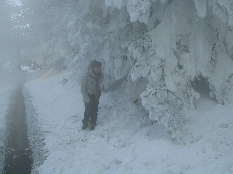 Любовь Заиграева | Улан-Удэ