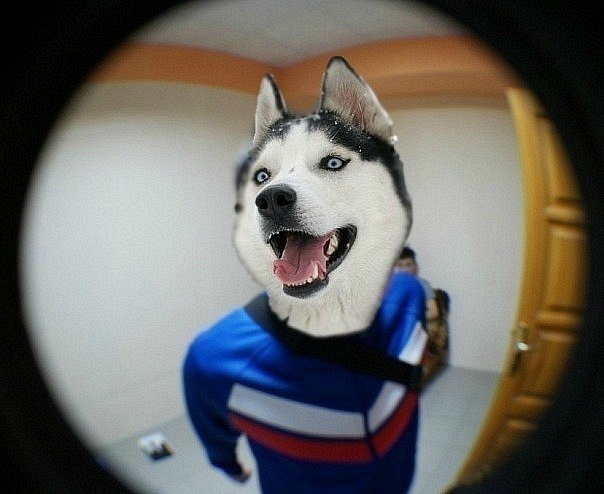 Дмитрий Руденко Александрович | Кривой Рог