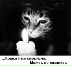Фотография Ариша Почекутова