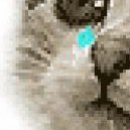 №18, Владислава Никитина №18, Владислава Никитина