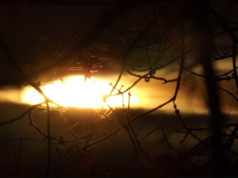 Виктория Давыдова Робин Щербатски | Курск