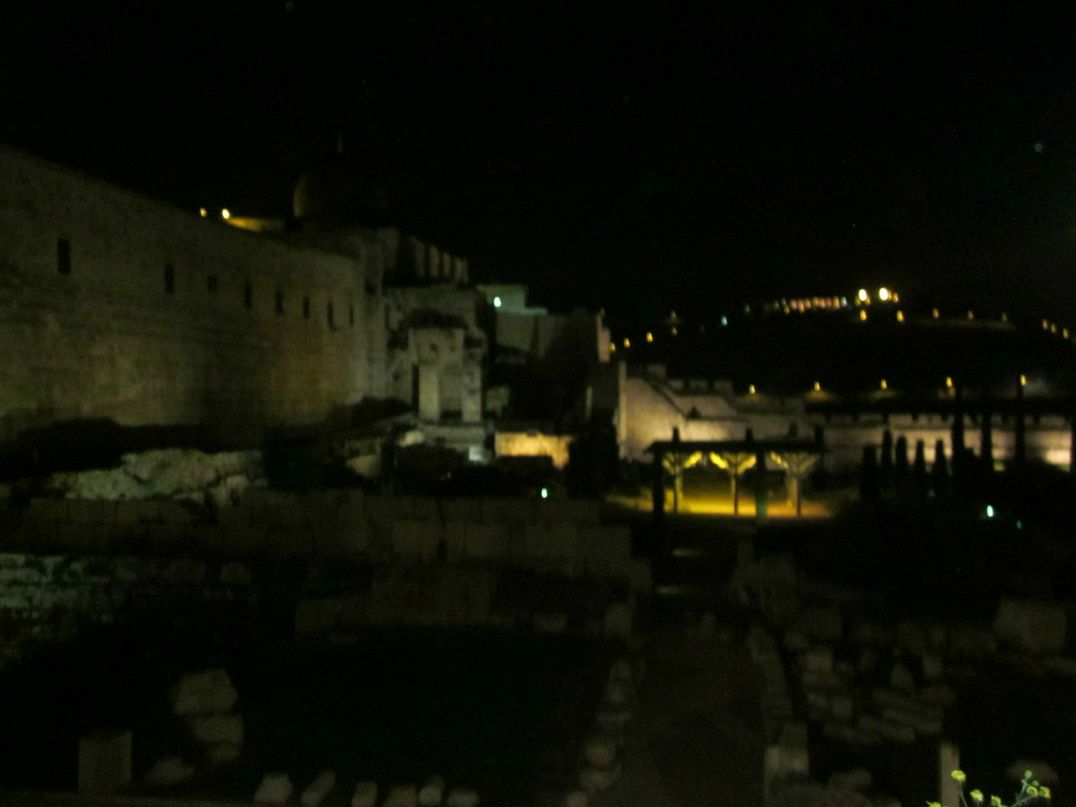 Дарья Хмельницкая Борисовна | Киев