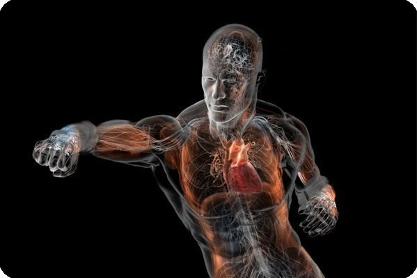 Константин Кречетов | 