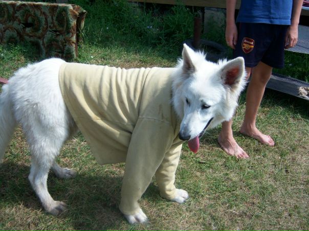 №30, Данил Прокофьев, Enschede №30, Данил Прокофьев, Enschede