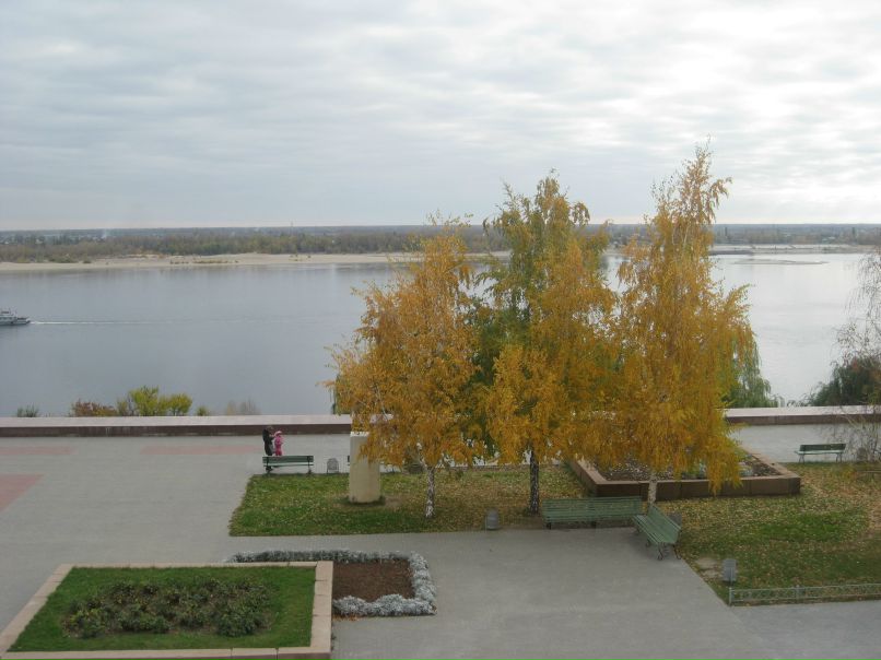 Елена Котикова | Воронеж