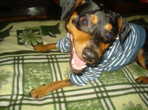 №17, Тамара Хмай, 56 лет, Львов №17, Тамара Хмай, 56 лет, Львов