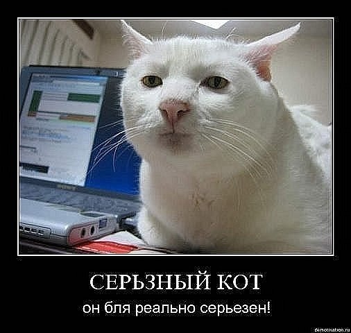 Алексей Гречуха Zloy | Лутугино