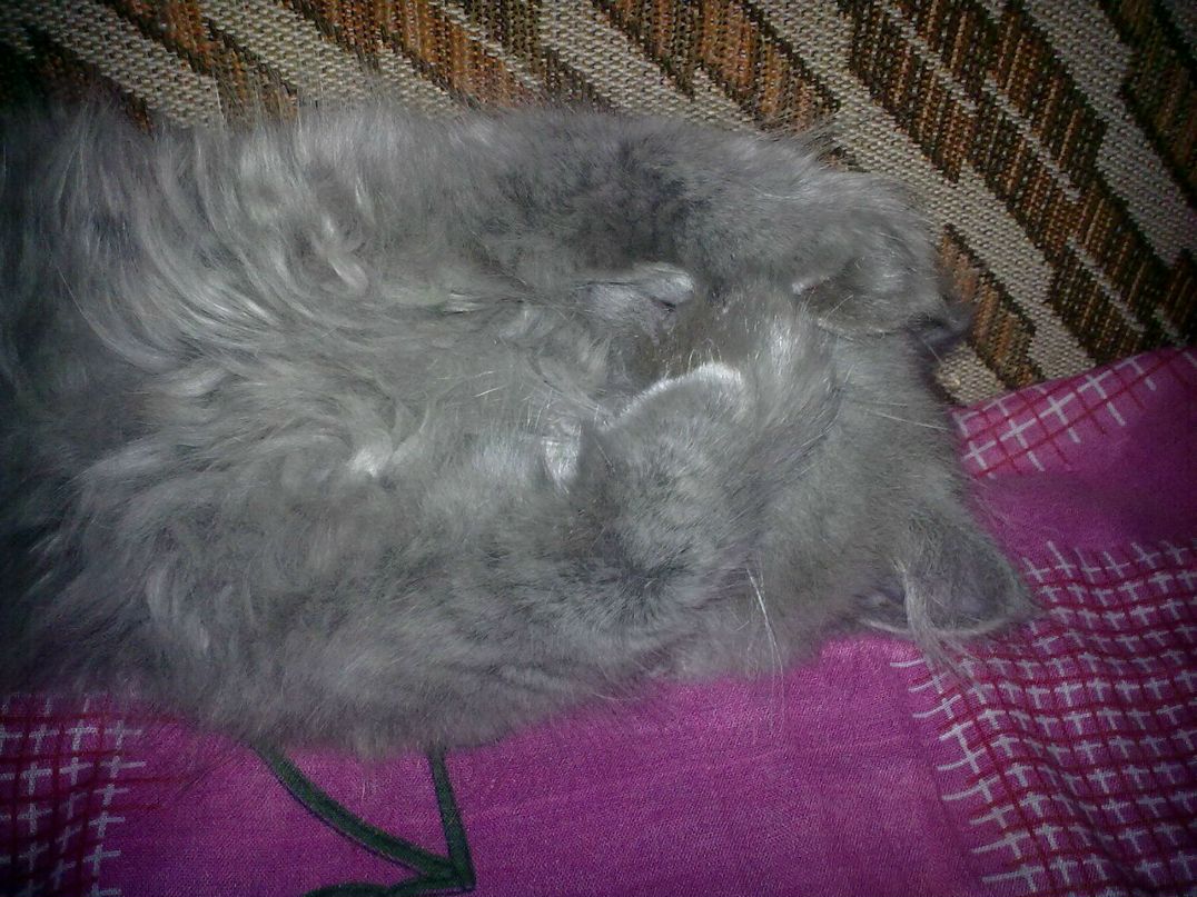 Евгений Кудин | Днепр (Днепропетровск)