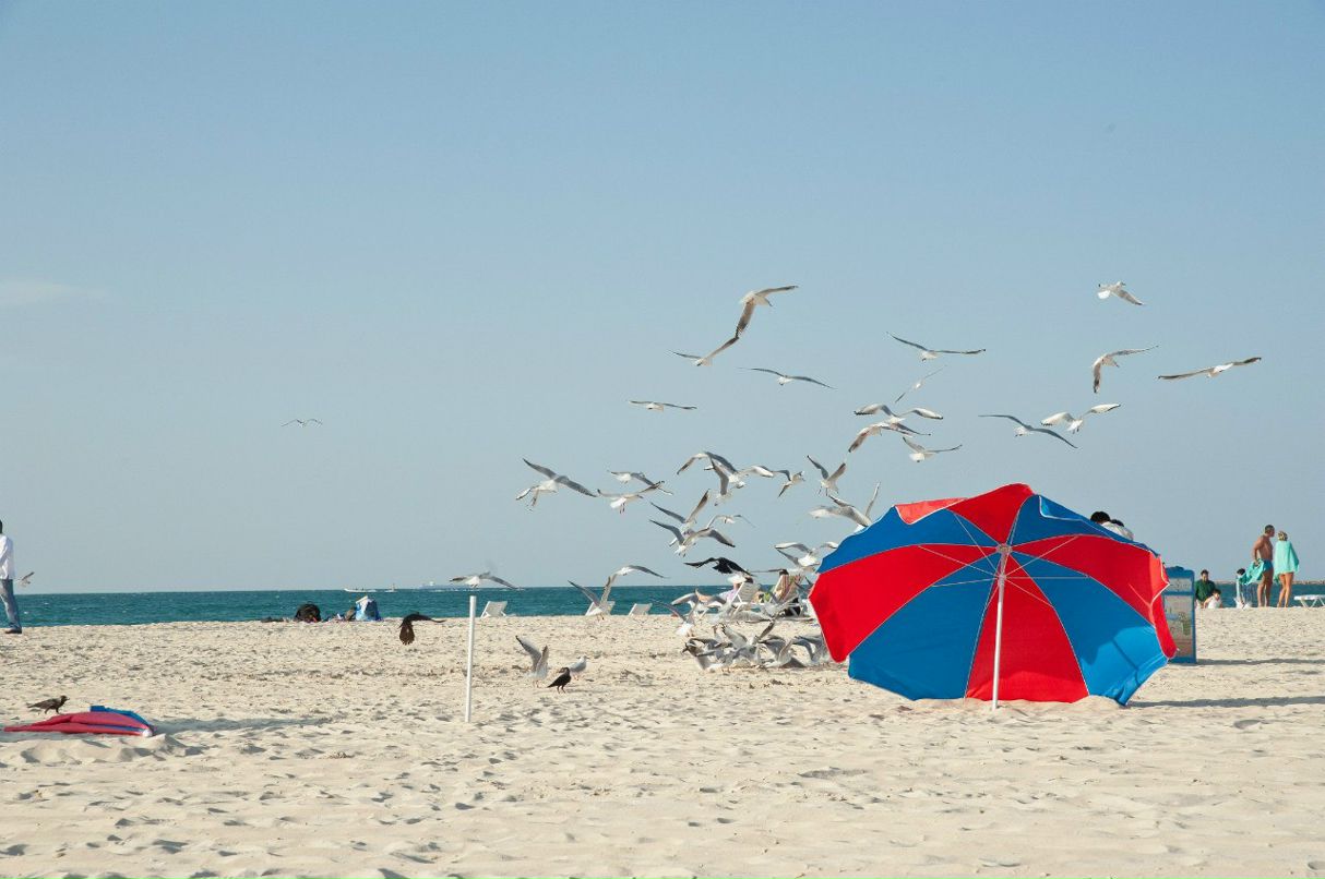 Катя Железкина «Мечта*Fe*Менделеева» | Москва