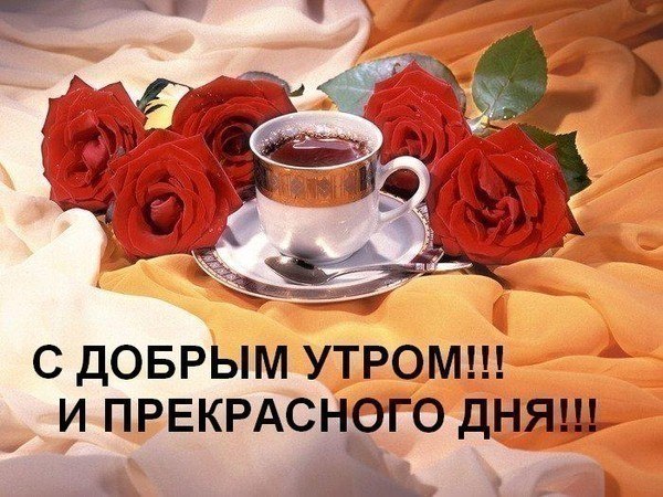 Лариса М | Харьков
