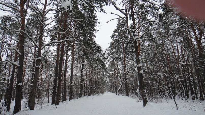 Анжелика Шкуропадская | Киев