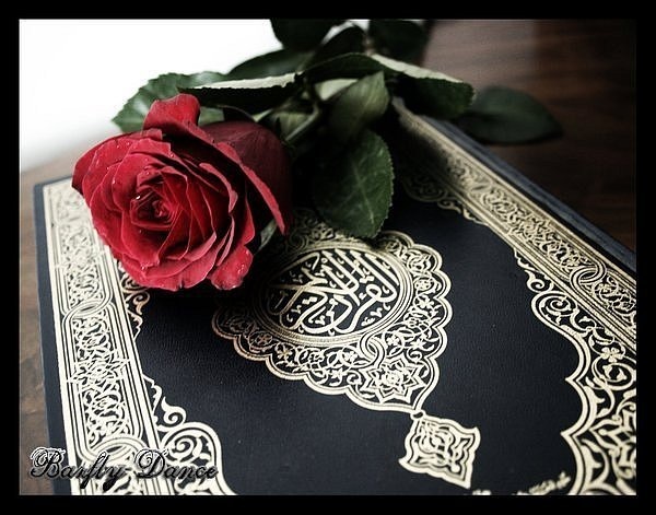 №21, Mahmoud Elnoby, Doha №21, Mahmoud Elnoby, Doha