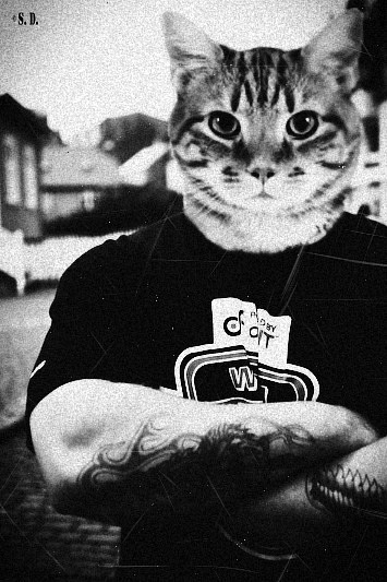 №177, Алексей Горовой, 38 лет, Киев №177, Алексей Горовой, 38 лет, Киев