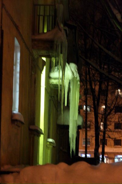 №15, Леонард Кангур №15, Леонард Кангур