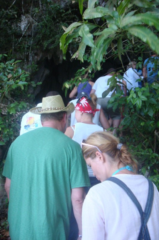 Елена Журкова | Adelaide