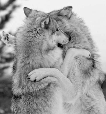 Anastasia Weiß | Москва