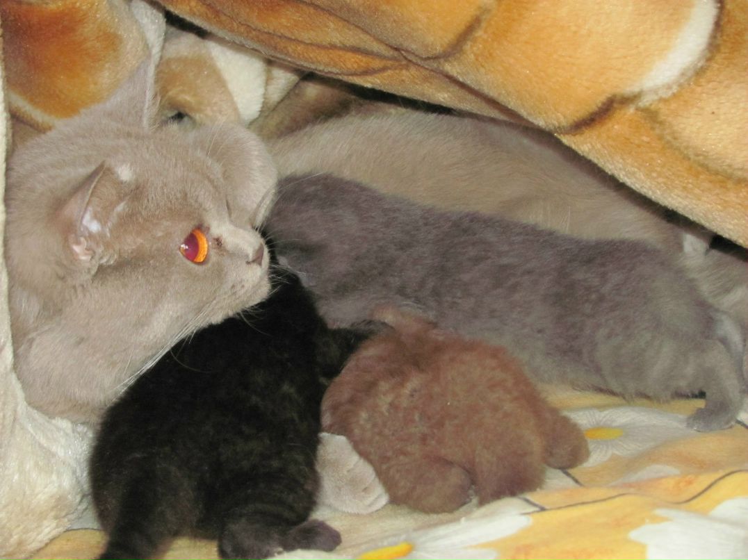 Танюша Таже vSe | Кривой Рог