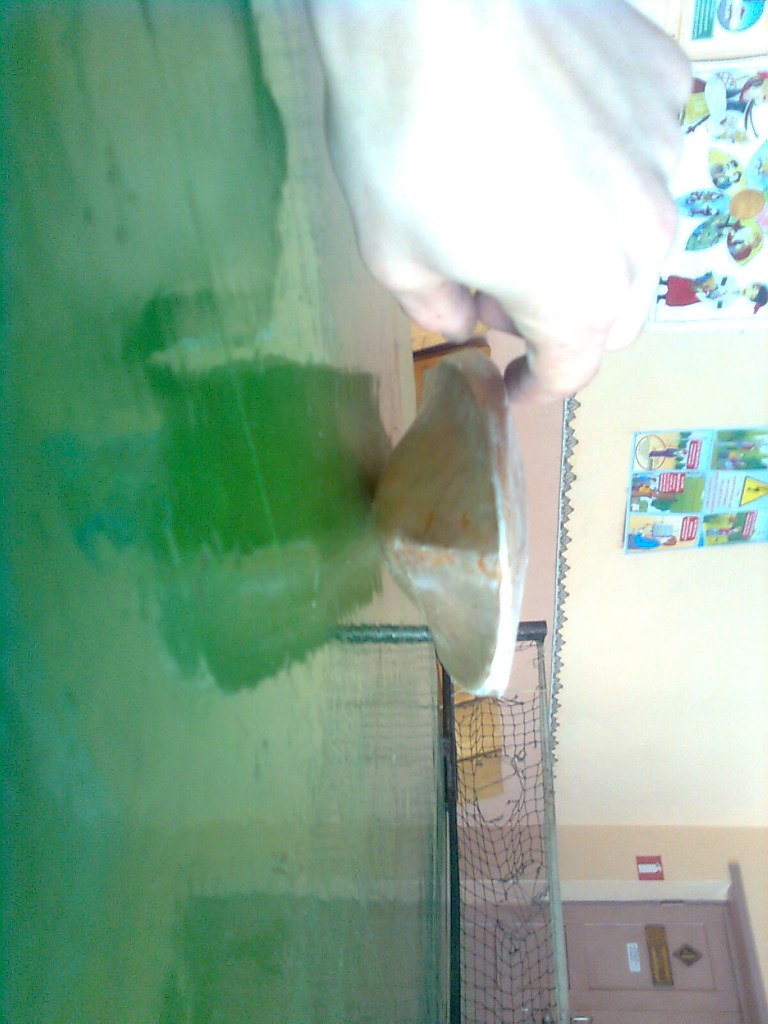 Дмитрий Лещинский | Киев