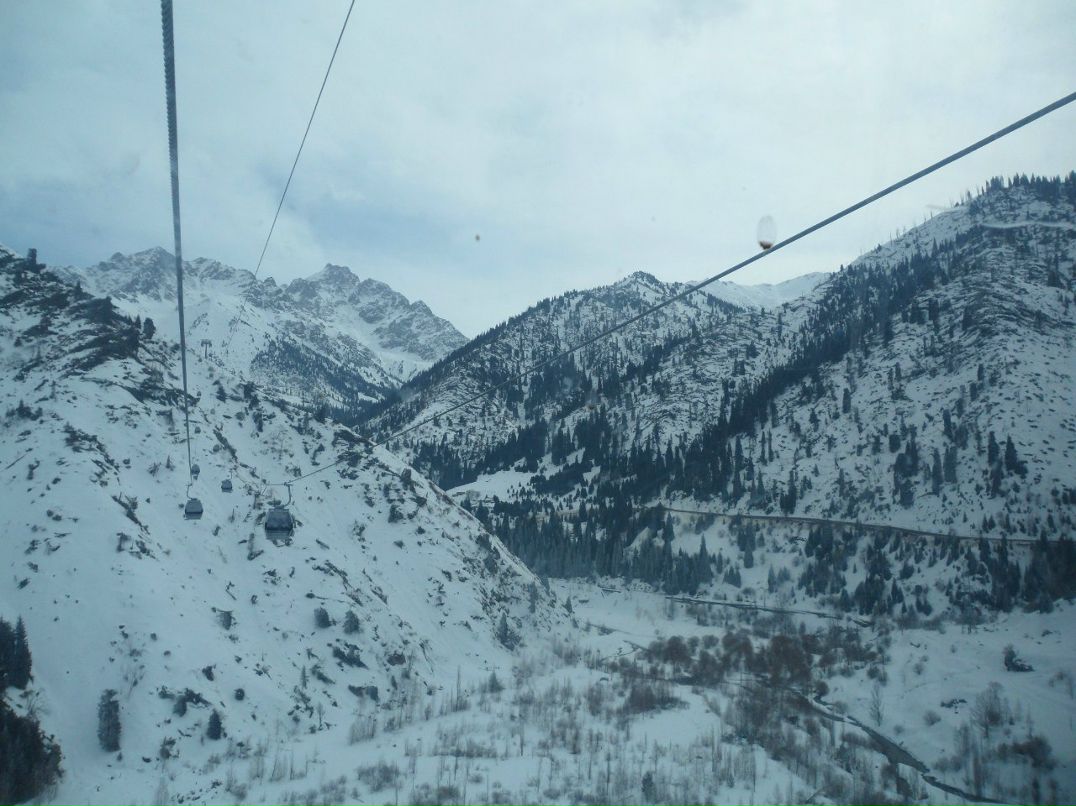 Елена Зевакина ♥♥♥ | Тараз