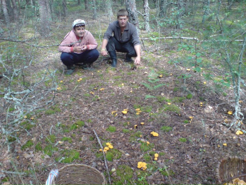 №2, Игорь Подребинников №2, Игорь Подребинников