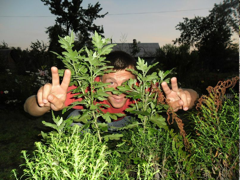 Андрей Евтух | Барановичи