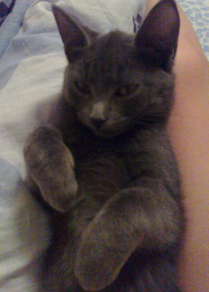 Наталия Кривченкова Ипатова | Москва