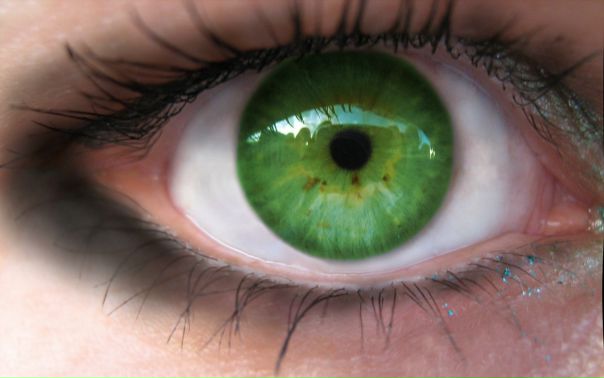 №15, Светлана Ковалевская №15, Светлана Ковалевская