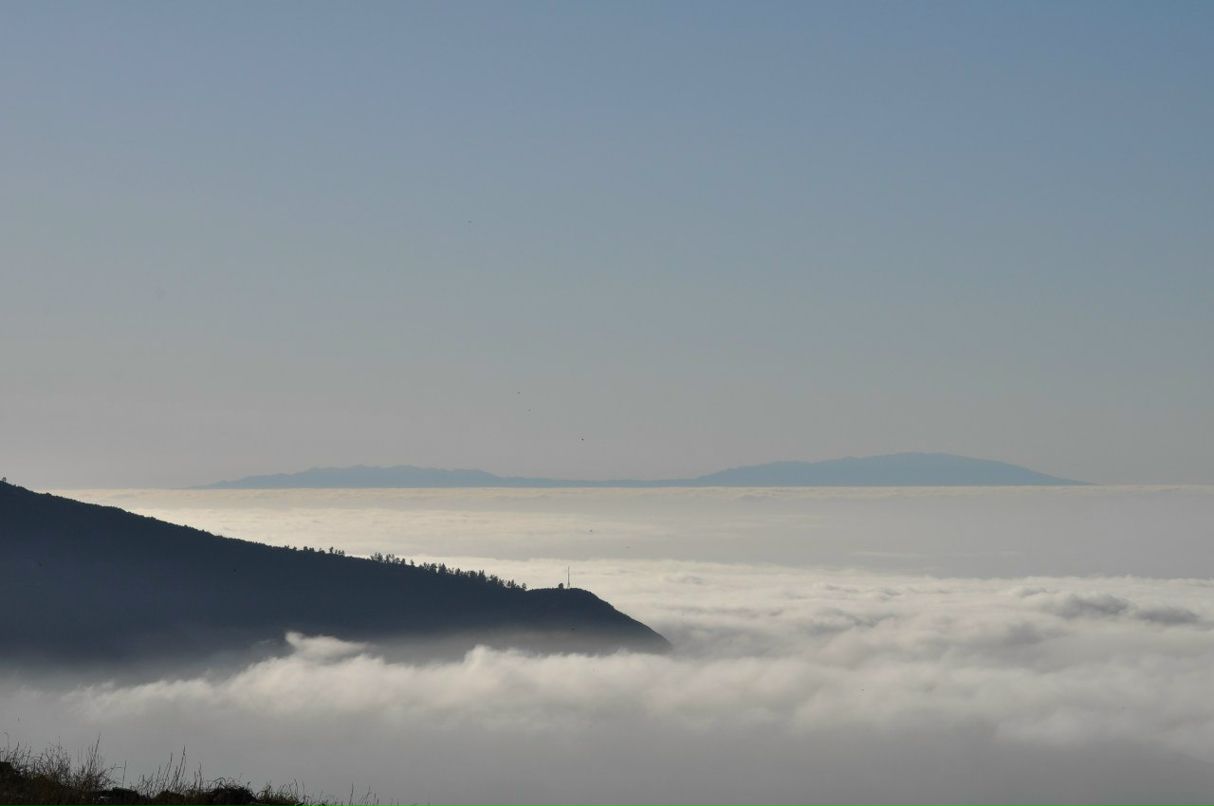 Марина Махмудова | Москва