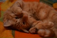 №8 Анна Скитаева 20.09.1988: профиль, фото, статус - ВКонтакте