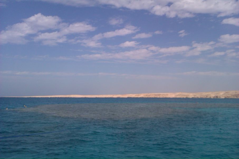 №53, Veronika Radkevich, Miami №53, Veronika Radkevich, Miami