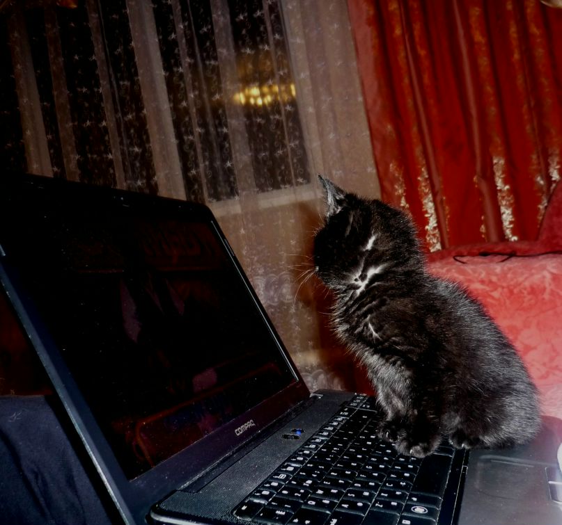 Алексей Морозов Павлович | Бугульма