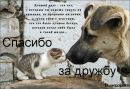 №6 Ирина Гарькуша 21.06.1990: профиль, фото, статус - ВКонтакте
