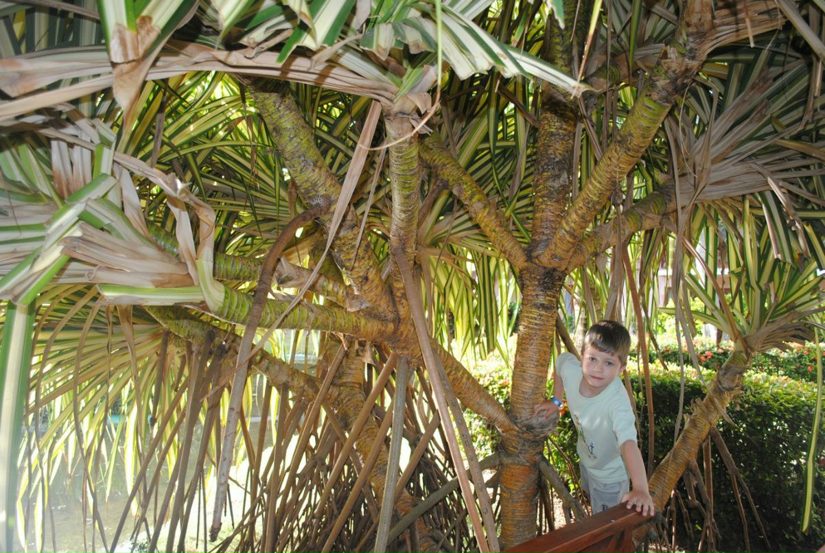 Юлия Соколова (Лыкова) | 