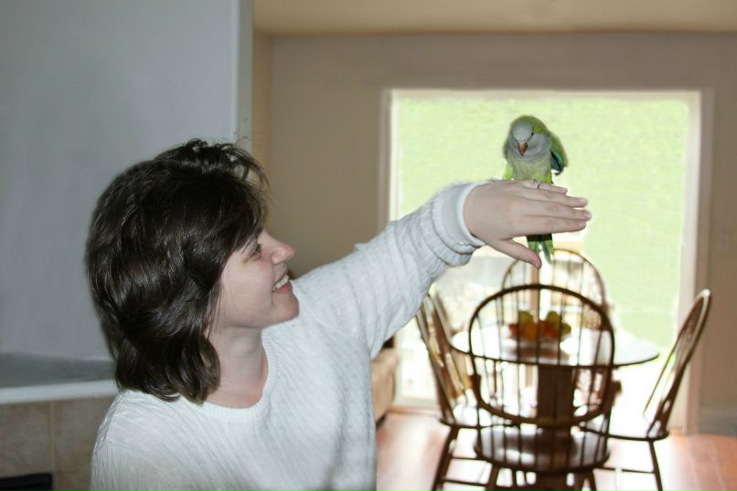 Инна Иванова | 