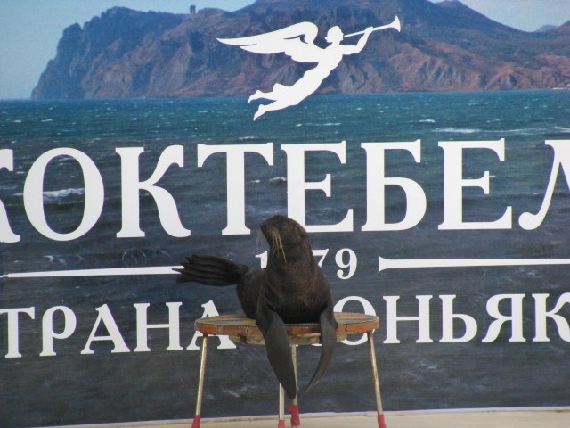 Миша Розенберг | Нижневартовск