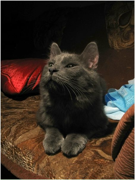 №169, Павел Козуб, Калининград №169, Павел Козуб, Калининград