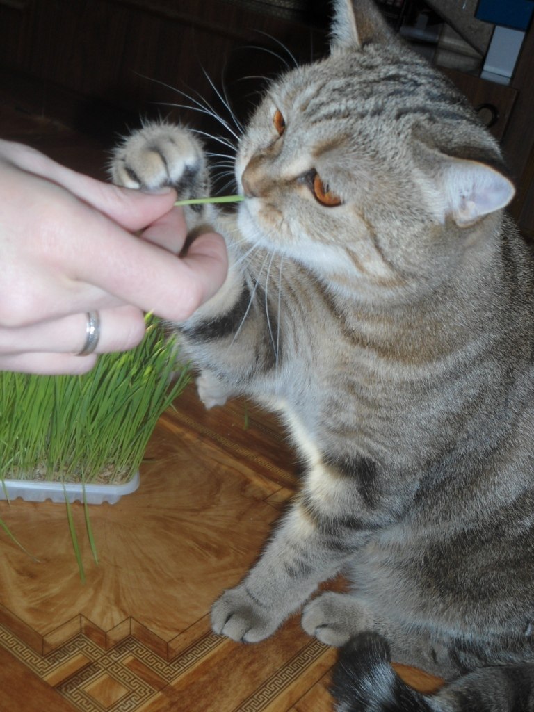 Ксения Марфина | Самара