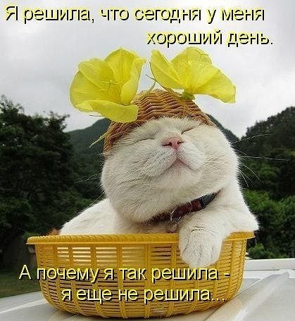 №189, Иринка Федорова, Пикалево №189, Иринка Федорова, Пикалево