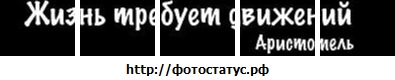 №47, Олександр Гончарук, 36 лет, Христиновка №47, Олександр Гончарук, 36 лет, Христиновка