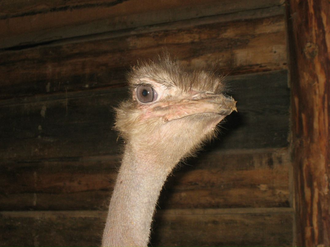 Иван Бусыгин | 