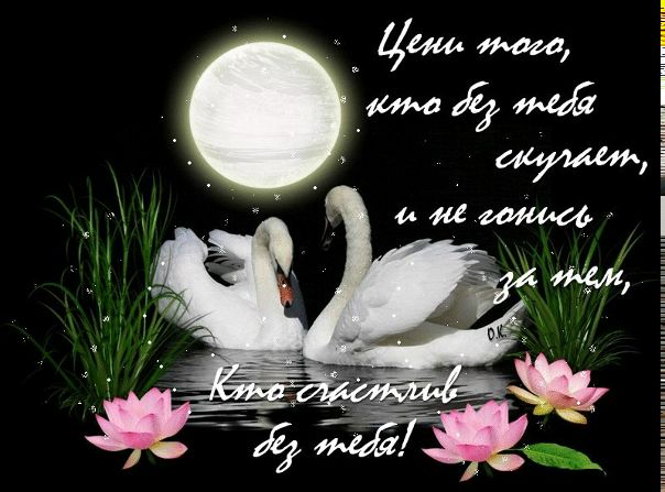 №27, Максим Лазарев, 44 года, Кадуй (пгт) №27, Максим Лазарев, 44 года, Кадуй (пгт)