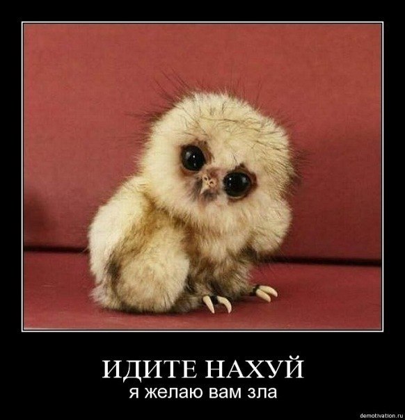 Олюшка Мищенко | Киев