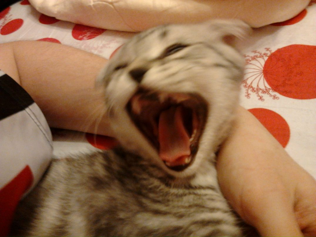 Ильдар Шарифуллин | Краснодар