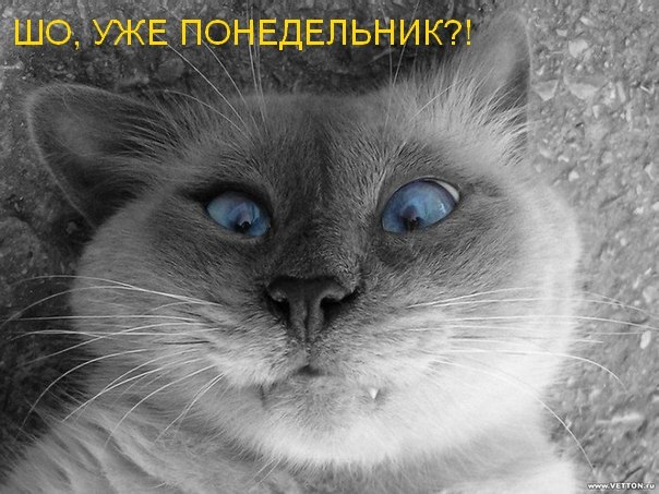 Катюшка Никульникова | Москва